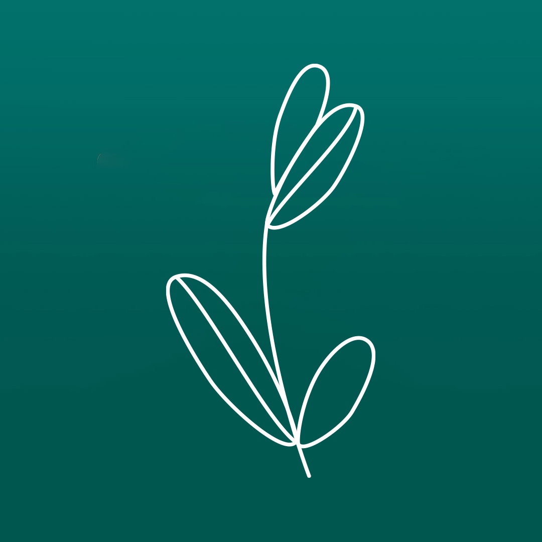 Logo de la marque Fleur de Beryl, pictogramme représentant une fleur avec deux feuilles et deux pétales, tracé avec une ligne délicate blanche sur fond vert canard.