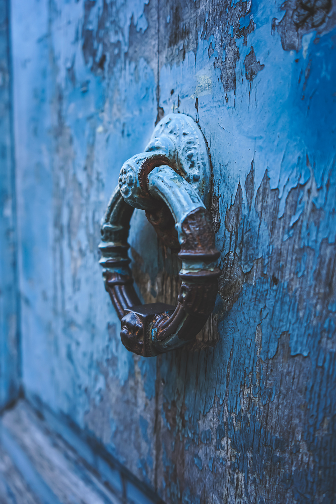 Photographie d'un heurtoir en métal noir sur une porte en bois bleu de l'Hôtel de Vauluisant.